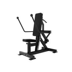 Kickback/Triceps dip