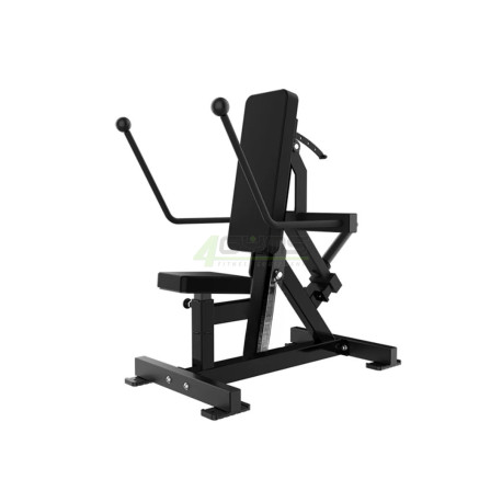Kickback/Triceps dip